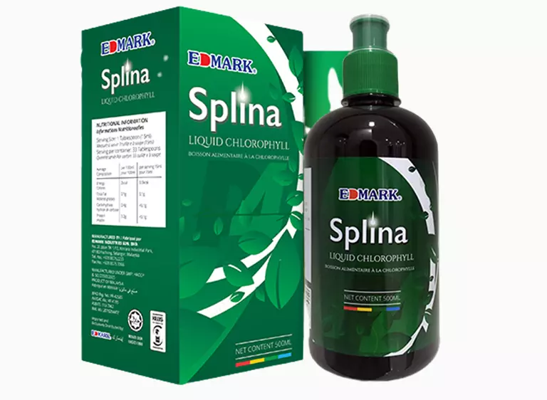 Splina Liquide chlorophylle